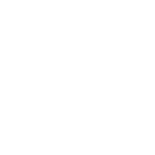 common heir logo